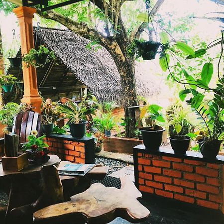 Oleena Home Stay ฮาบารานา ภายนอก รูปภาพ