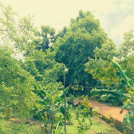Oleena Home Stay ฮาบารานา ภายนอก รูปภาพ
