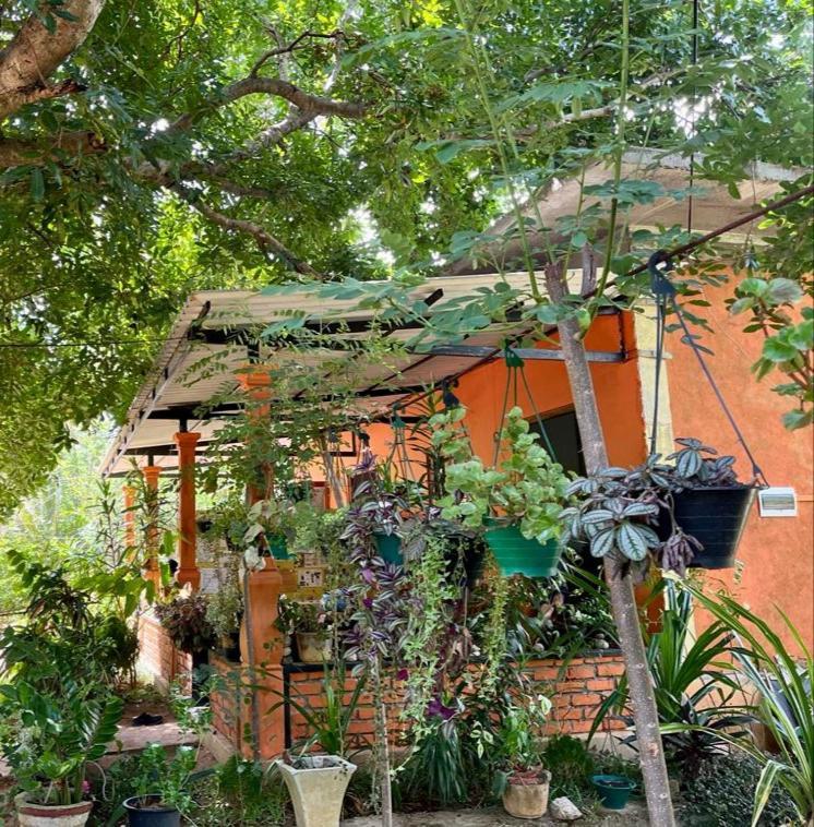 Oleena Home Stay ฮาบารานา ภายนอก รูปภาพ