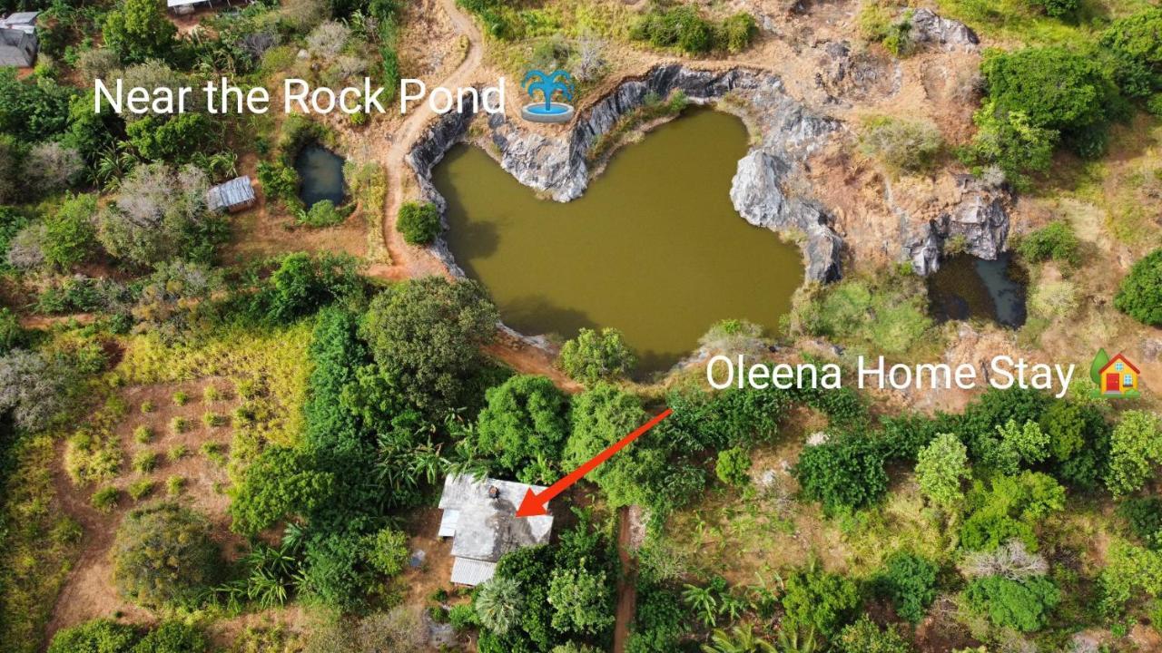 Oleena Home Stay ฮาบารานา ภายนอก รูปภาพ