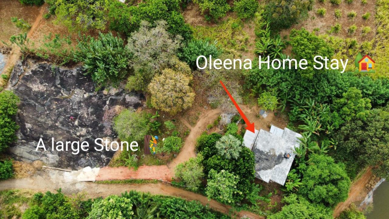 Oleena Home Stay ฮาบารานา ภายนอก รูปภาพ
