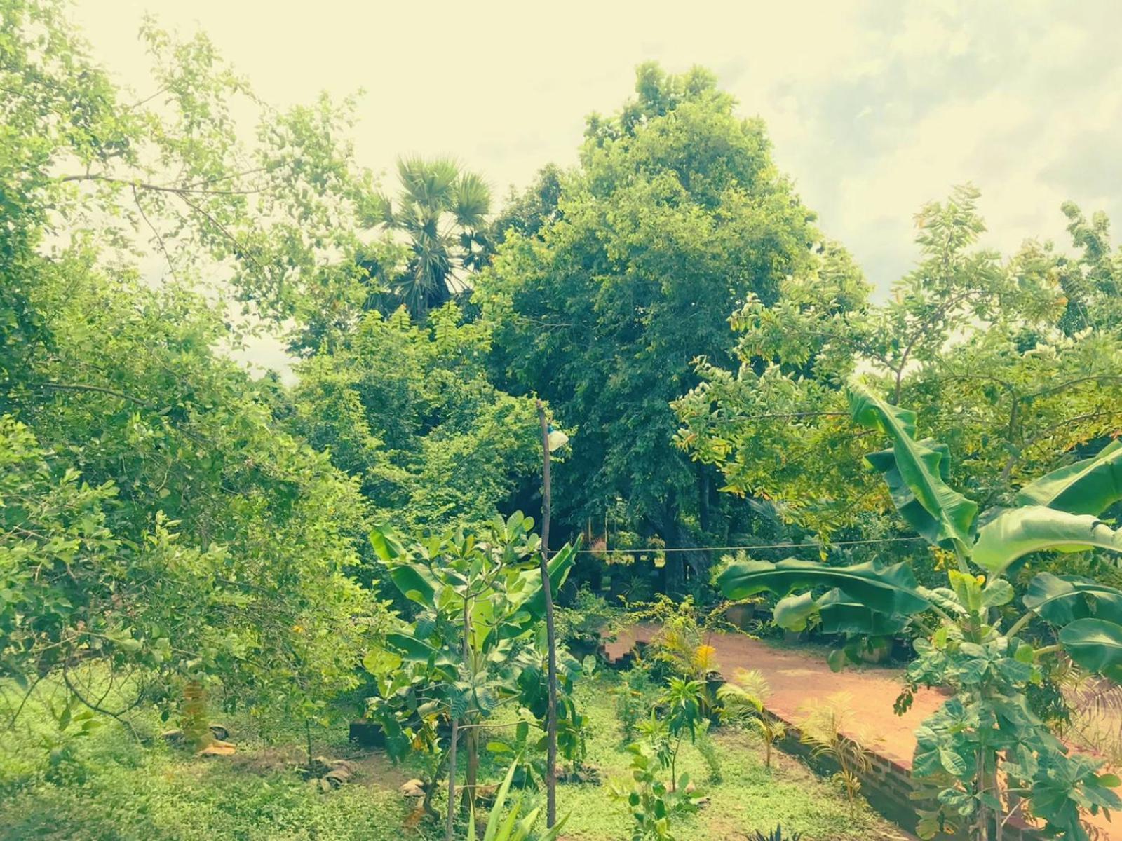 Oleena Home Stay ฮาบารานา ภายนอก รูปภาพ