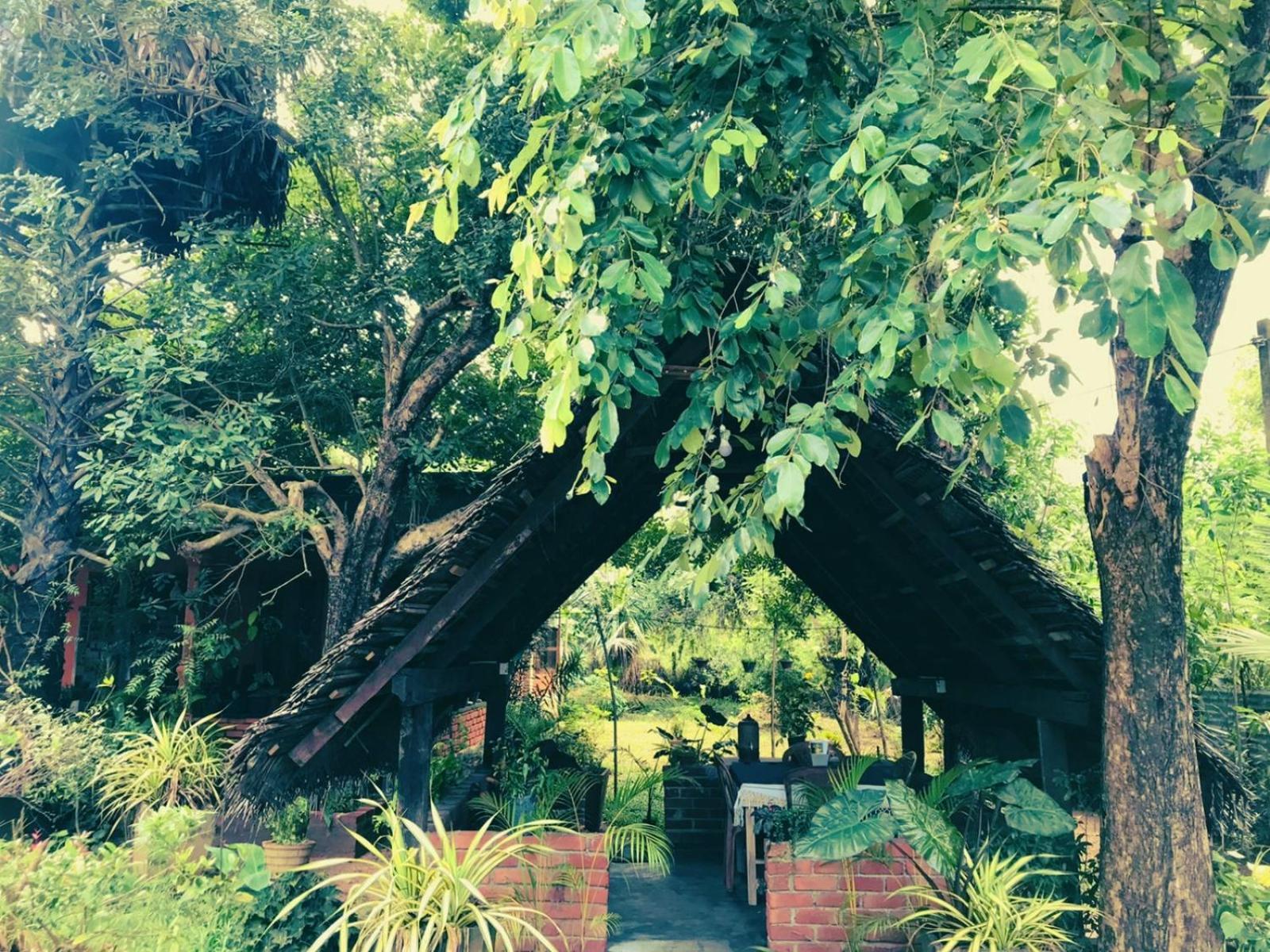 Oleena Home Stay ฮาบารานา ภายนอก รูปภาพ