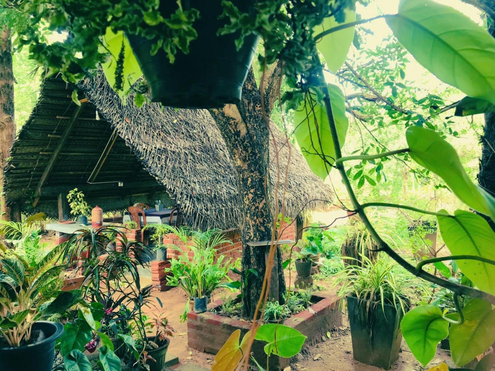 Oleena Home Stay ฮาบารานา ภายนอก รูปภาพ