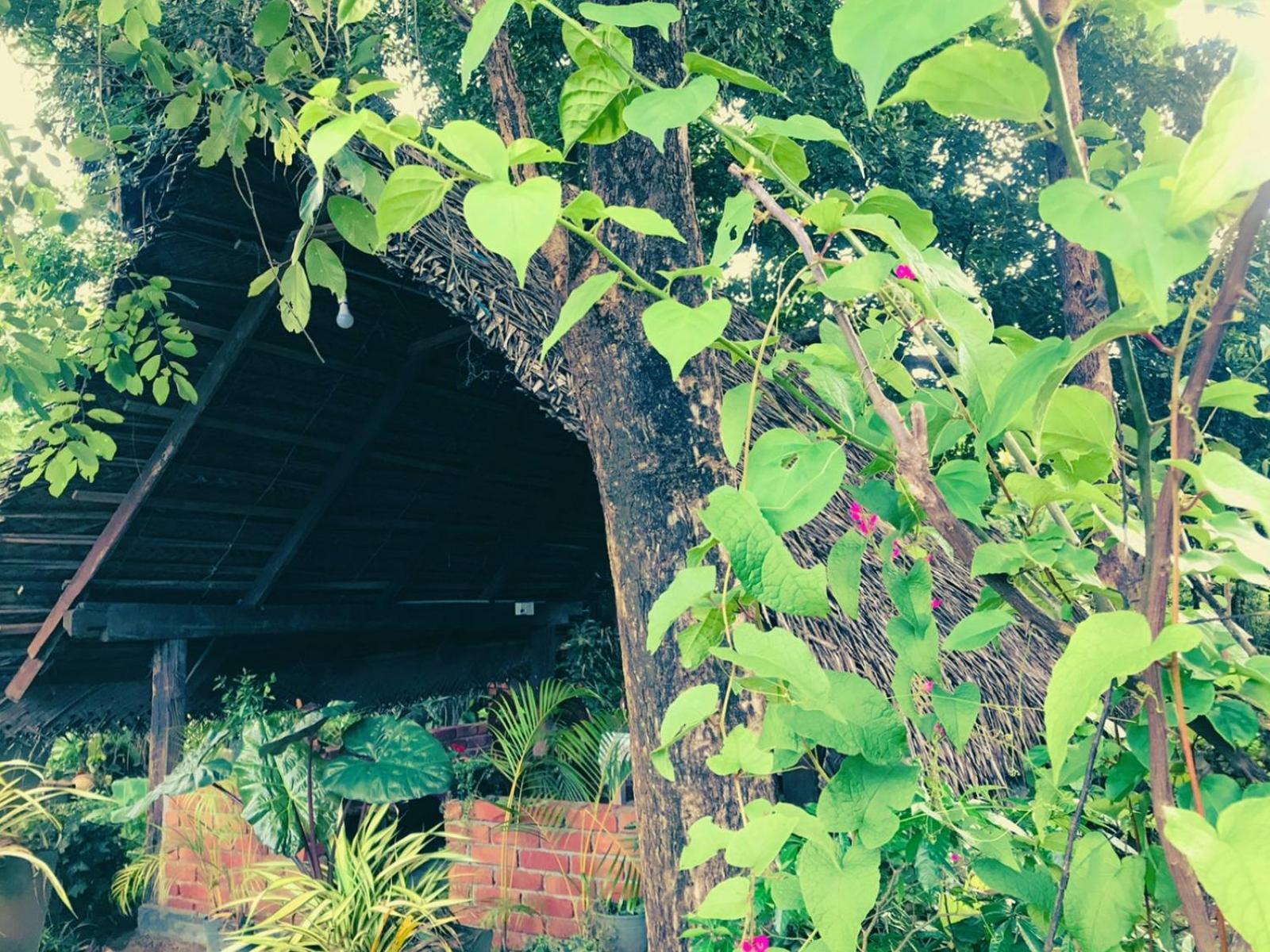 Oleena Home Stay ฮาบารานา ภายนอก รูปภาพ
